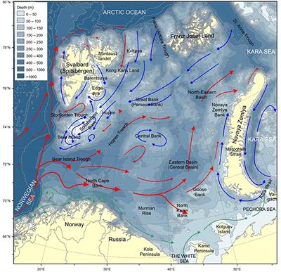 Assessment of Marine Litter in the Barents Sea, a Part of the Joint Norwegian–Russian Ecosystem Survey